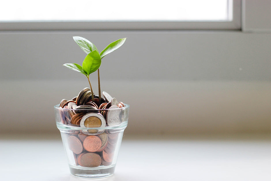Bluebird Botanicals Financial Wellness Sprout in Cup of Coins